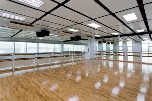 Haro Sports Eco Top2 Wooden Sprung Flooring System 1